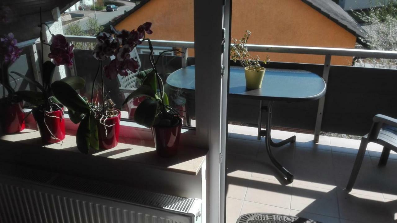 Obere Ferienwohnung Asshoff Zwischen Odenwald, Taubertal Und Bauland Berolzheim Exterior foto